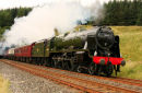 Scots Guardsman at Blea Moor